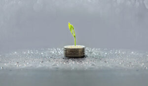 A photo of a plant growing within a pile of coins