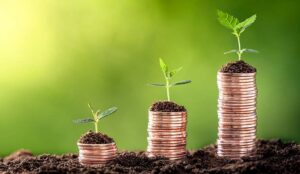 Plants On Three Stacks of Coins