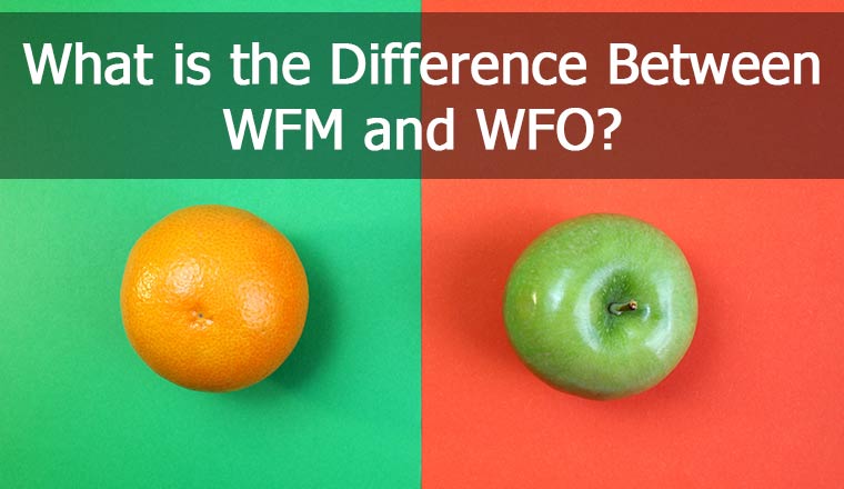 What is the Difference Between WFM, WFO and WEM? 
