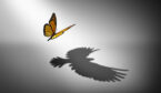 Empowerment concept with butterfly and eagle shadow