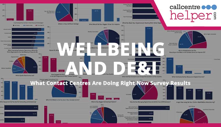 Wellbeing and DE&I Questions Cover from General Section of 2023 Survey