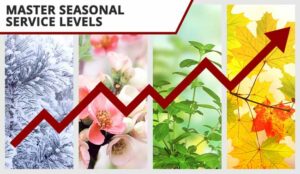 Four seasons of year with line showing peaks - seasonal service level concept