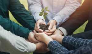 Group of people growing a plant in their hands