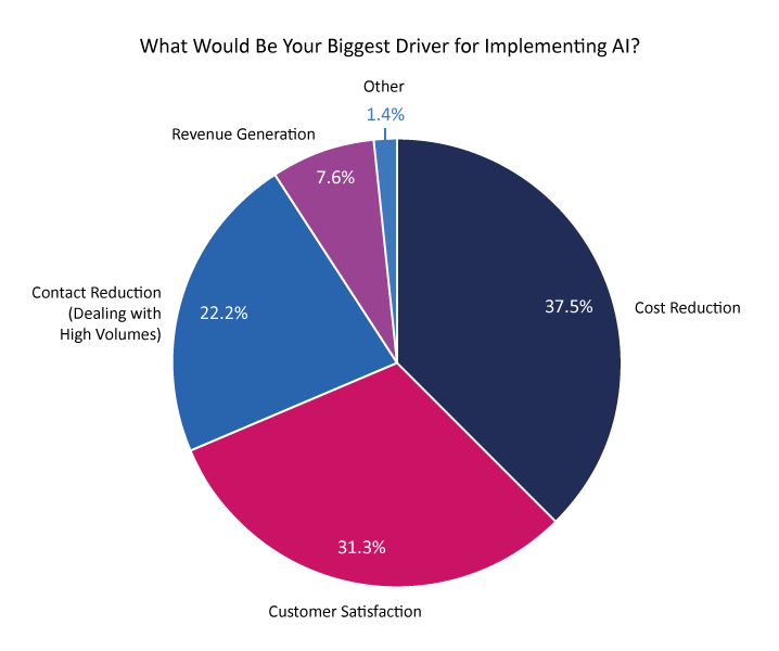 2024 Survey Graph - AI Drivers