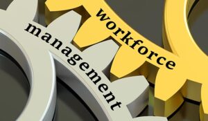 Workforce management concept on the gearwheels